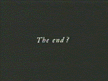 The End?