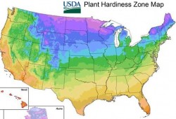 Pic: 2012 USDA Plant Hardiness Zone Pic: 2012 USDA Plant Hardiness Zone